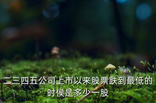 二三四五公司上市以來(lái)股票跌到最低的時(shí)侯是多少一股