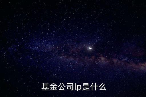 基金公司lp是什么