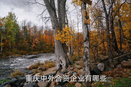 重慶雙遠(yuǎn)集團(tuán)股份有限公司,重慶太極實(shí)業(yè)(集團(tuán))股份有限公司
