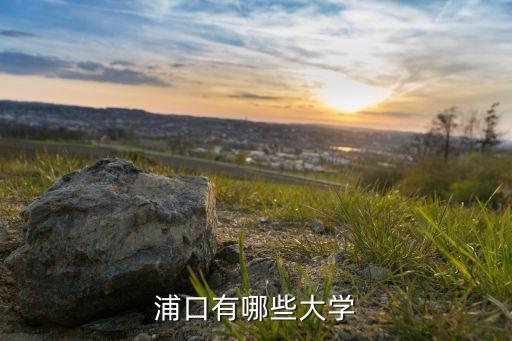 浦口有哪些大學