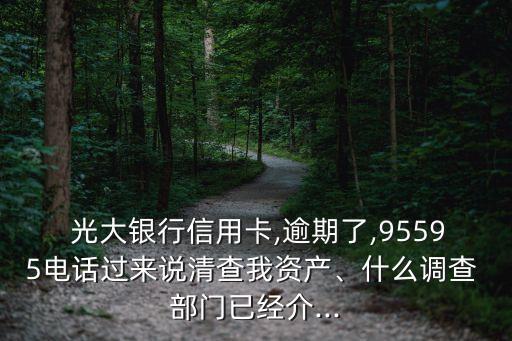  光大銀行信用卡,逾期了,95595電話過來說清查我資產(chǎn)、什么調(diào)查 部門已經(jīng)介...