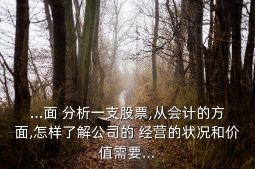 ...面 分析一支股票,從會計(jì)的方面,怎樣了解公司的 經(jīng)營的狀況和價(jià)值需要...