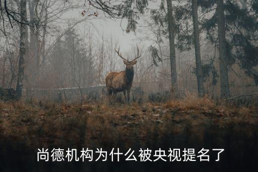  尚德機(jī)構(gòu)為什么被央視提名了