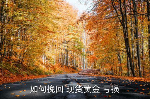 投資現(xiàn)貨虧損案例,投資朝鮮的虧損案例