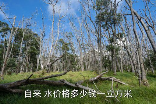 自來(lái) 水價(jià)格多少錢(qián)一立方米