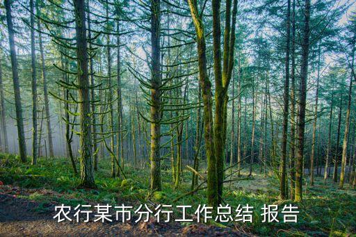 農(nóng)行某市分行工作總結(jié) 報告