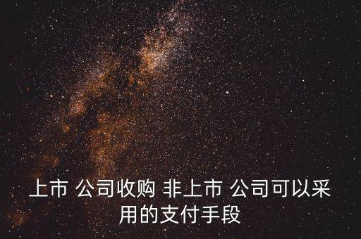 上市 公司收購(gòu) 非上市 公司可以采用的支付手段