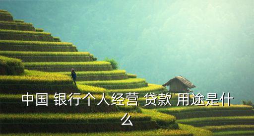中國 銀行個人經(jīng)營 貸款 用途是什么