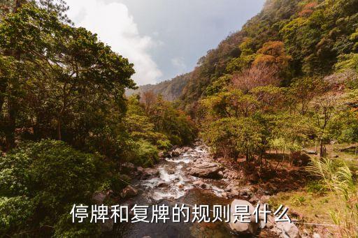 中國股市停牌制度,股市停牌制度是什么
