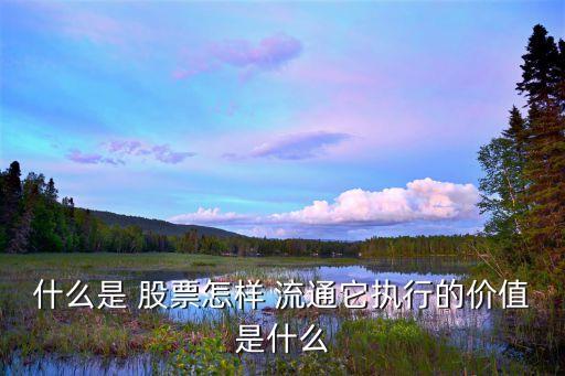 什么是 股票怎樣 流通它執(zhí)行的價(jià)值是什么