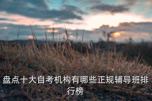 盤(pán)點(diǎn)十大自考機(jī)構(gòu)有哪些正規(guī)輔導(dǎo)班排行榜