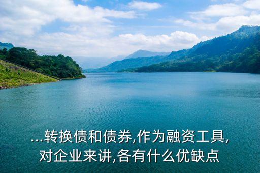 ...轉(zhuǎn)換債和債券,作為融資工具,對(duì)企業(yè)來(lái)講,各有什么優(yōu)缺點(diǎn)