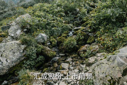 匯成股份 上市前景