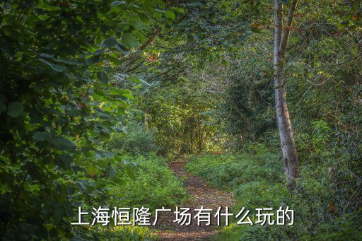  上海恒隆廣場有什么玩的