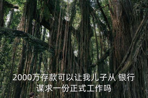 2000萬存款可以讓我兒子從 銀行謀求一份正式工作嗎