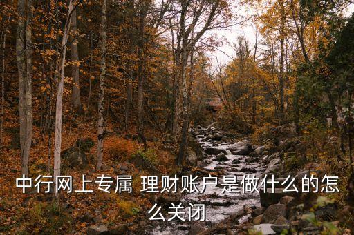 中行網(wǎng)上專屬 理財(cái)賬戶是做什么的怎么關(guān)閉