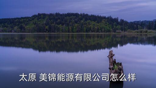山西美錦集團(tuán)東于煤礦