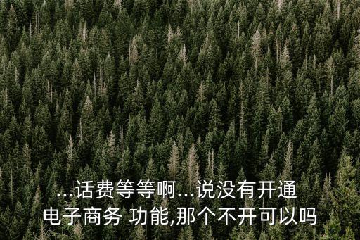 ...話費(fèi)等等啊...說(shuō)沒有開通 電子商務(wù) 功能,那個(gè)不開可以嗎