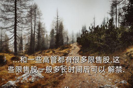 ...和一些高管都有很多限售股,這些限售股一般多長(zhǎng)時(shí)間后可以 解禁...