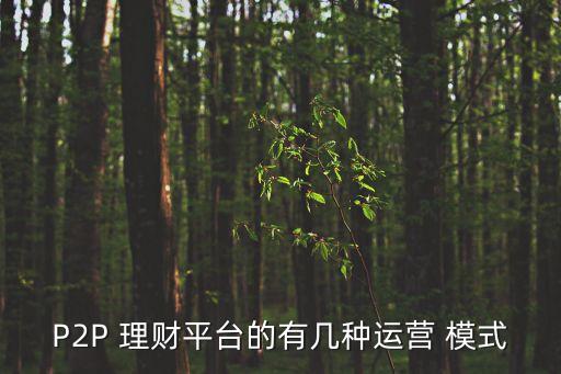 p2p兒童投資理財(cái)模式,阿里巴巴p2p投資理財(cái)