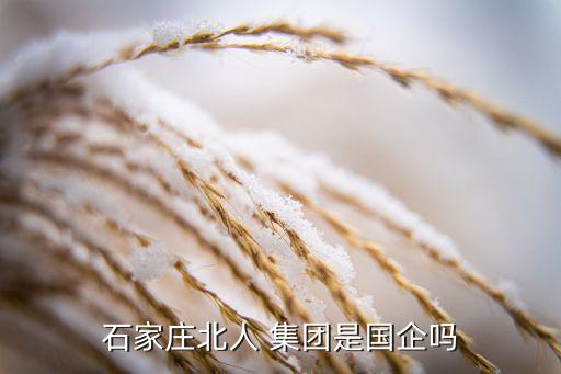 石家莊北人 集團(tuán)是國(guó)企嗎