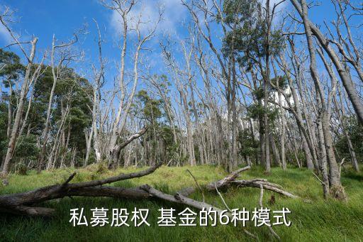 私募股權(quán) 基金的6種模式