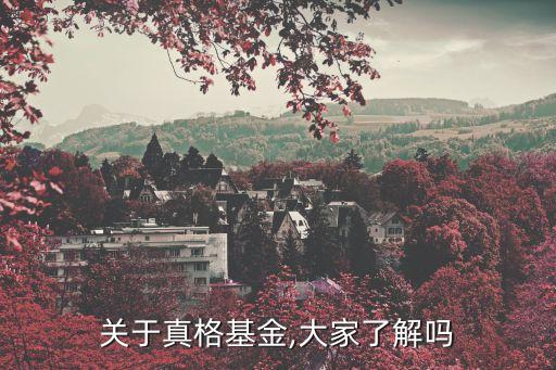 2013年度中國股權投資年度排名