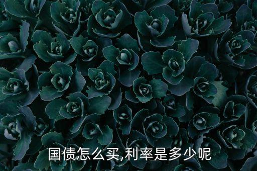 光大銀行國債2016