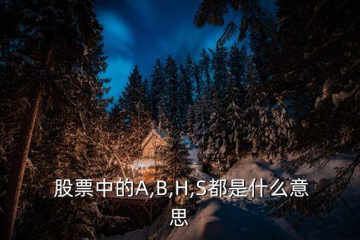  股票中的A,B,H,S都是什么意思