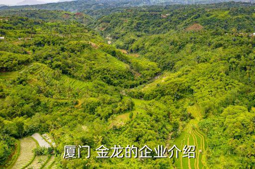  廈門 金龍的企業(yè)介紹