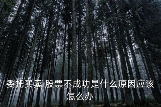 股票買(mǎi)入沒(méi)成功,股票委托買(mǎi)入沒(méi)成功怎么辦