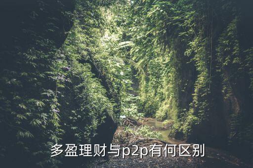 上海多盈投資,上海阜盈投資董事長(zhǎng)