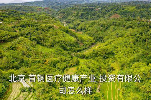 首鋼投資