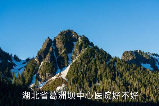 湖北川東集團固定資產(chǎn),東平東順集團固定資產(chǎn)
