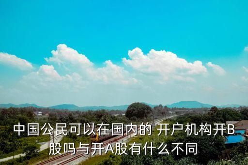 中國公民可以在國內的 開戶機構開B股嗎與開A股有什么不同