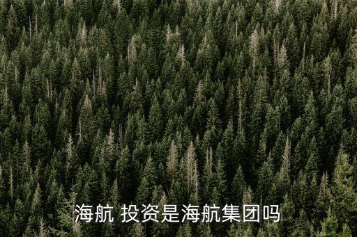 海航 投資是海航集團(tuán)嗎
