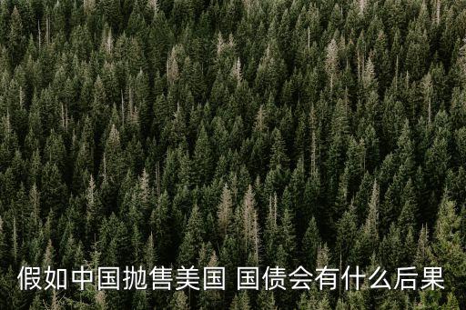 中國4月拋美國國債,中國拋美國國債2600億