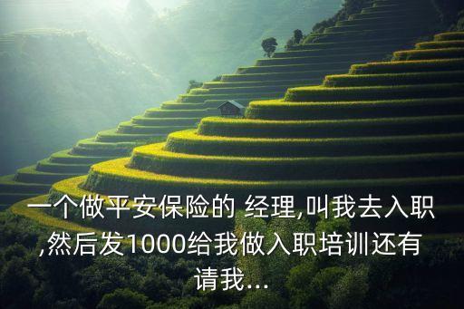 一個(gè)做平安保險(xiǎn)的 經(jīng)理,叫我去入職,然后發(fā)1000給我做入職培訓(xùn)還有請(qǐng)我...