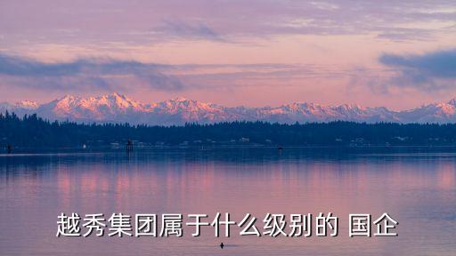 越秀集團(tuán)屬于什么級別的 國企