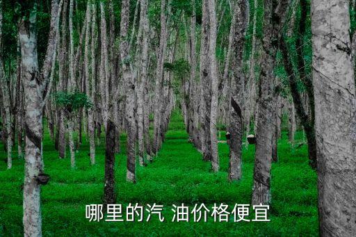 哪里的汽 油價格便宜