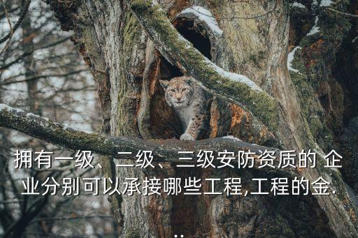 擁有一級、二級、三級安防資質(zhì)的 企業(yè)分別可以承接哪些工程,工程的金...