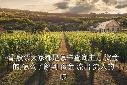 看 股票大家都是怎樣查詢主力 資金的,怎么了解到 資金 流出 流入的呢