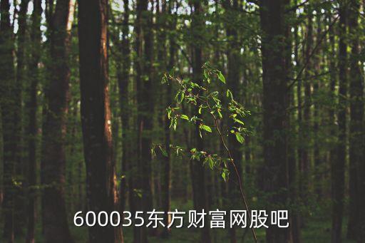 600035東方財富網(wǎng)股吧