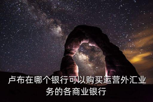  盧布在哪個銀行可以購買運營外匯業(yè)務的各商業(yè)銀行