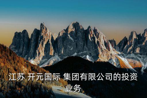 江蘇 開元國際 集團有限公司的投資業(yè)務