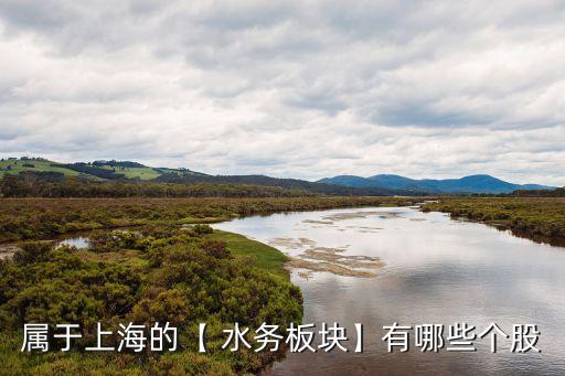 屬于上海的【 水務(wù)板塊】有哪些個(gè)股