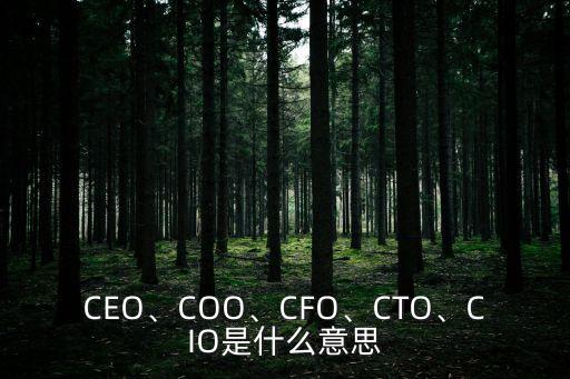 CEO、COO、CFO、CTO、CIO是什么意思