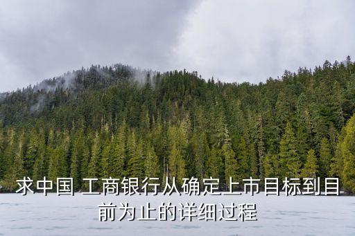 求中國 工商銀行從確定上市目標(biāo)到目前為止的詳細(xì)過程
