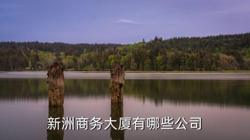 新洲商務(wù)大廈有哪些公司
