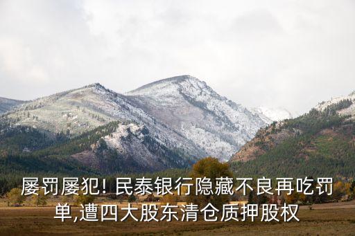 屢罰屢犯! 民泰銀行隱藏不良再吃罰單,遭四大股東清倉(cāng)質(zhì)押股權(quán)